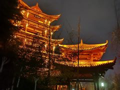 -沙市市中山公园