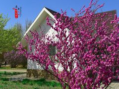 -长春公园(普阳街道)