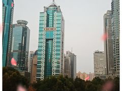 -招商银行(上海分行营业部)