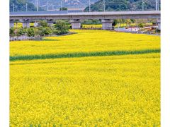 -光明小镇欢乐田园