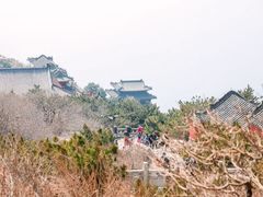 -泰山风景名胜区
