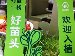 -海底捞火锅(飞马水城店)