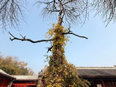 -承恩寺