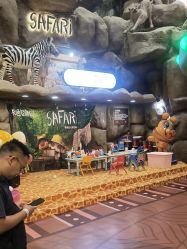 -卡通尼·Safari非洲探索乐园·生日会(金桥国际商业广场店)