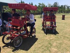 -上海长兴岛郊野公园