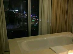 -南桥绿地铂骊酒店