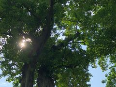 景点-龙环葡韵住宅式博物馆