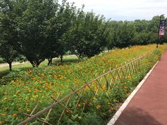 -朝阳公园游乐园