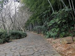 -九龙潭景区