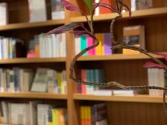 -二酉书店TOYOU BOOKS