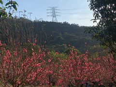 -水濂山森林公园