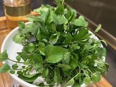 -烹然四季椰子鸡火锅(团结湖总店)