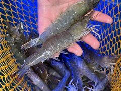 -辣螃铠盆盆蟹大排档(海昌店)