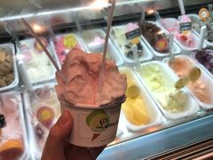 -柠檬车露(卖草地店)