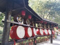 -合肥滨湖国家森林公园