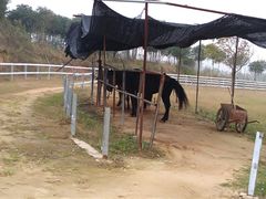 -武汉紫薇都市田园