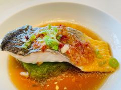 -金轩中餐厅 Jin Xuan(浦东丽思卡尔顿酒店)
