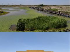 -宁波杭州湾国家湿地公园