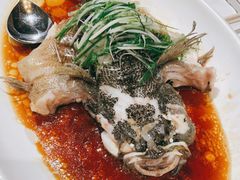 -九朝会昆曲·宴(望京店)