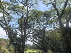 -新加坡总统府