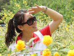 -十渡东湖港风景区