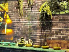 -广州神农草堂中医药博物馆