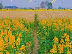 -中国天府农业博览园