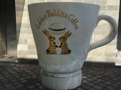 -巴厘岛黄金金兔咖啡工厂