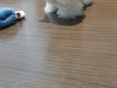 -将相和·海鲜蒸饺大连菜