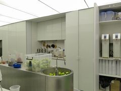 -introlemons(北京西单更新场店)