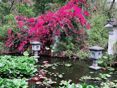 -深圳国际园林花卉博览园