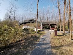 -合肥滨湖国家森林公园