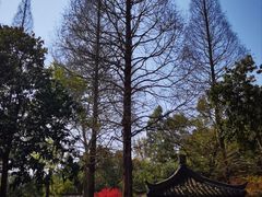 -杭州植物园