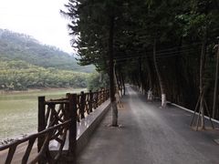 -滴水岩森林公园