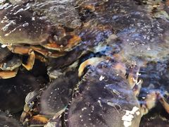 -青石桥市场北1-27号