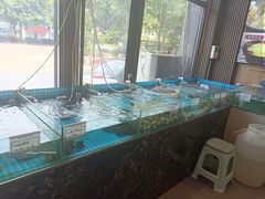-渡海小渔村.老辈日照菜
