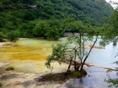 -黄龙山原始森林景区