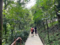-新加坡飞禽公园