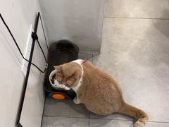 -伟伟宠物医院·CT影像中心·瑞派犬猫综合性门诊(汉口总院)
