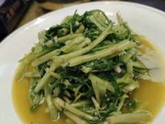 -大唐高老庄(红旗路店)