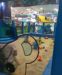 -万达宝贝王(成都锦华店)