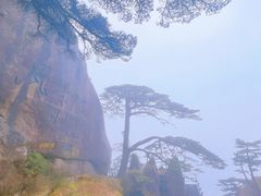 -黄山风景区