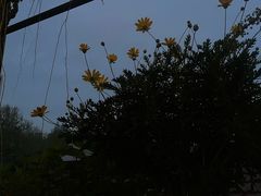 -普朗姆生蚝吧(原建国路店)