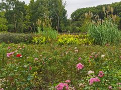 -昆山城市生态森林公园