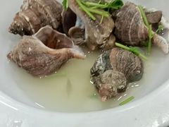 水煮海螺-渔家乐小海鲜(皇姑店)