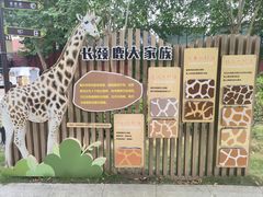 -成都动物园