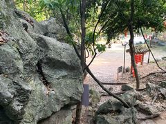 -杭州西湖风景名胜区-三生石