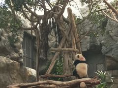 -香港海洋公园