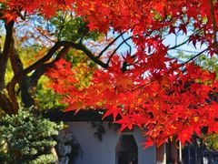 -惠山古镇·寄畅园