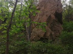 -大岭沟猕猴桃谷风景区